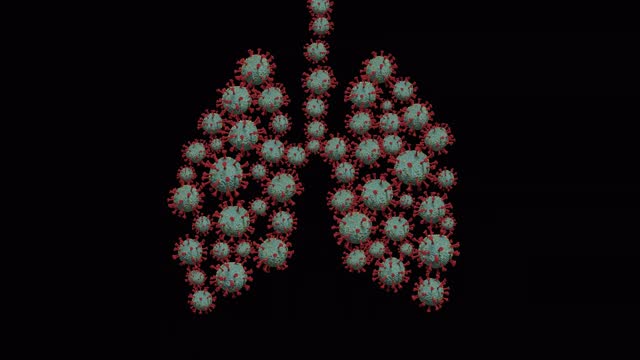 一组在透明背景下以肺部形式移动的冠状病毒的图像