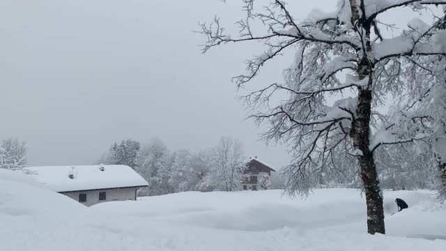 把家里的雪铲走
