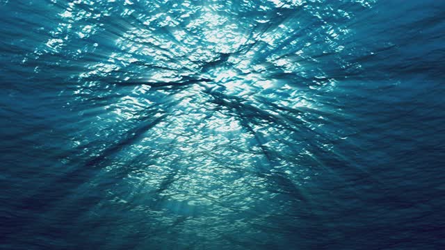 從水下到海面的視野和陽光從海水下通過