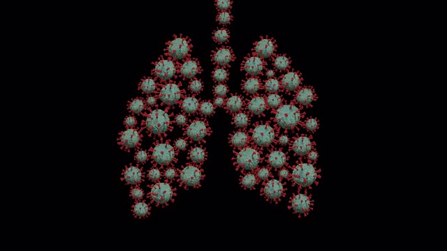 一组在透明背景下以肺部形式移动的冠状病毒的图像