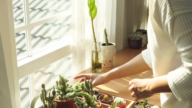 在房间里照料室内植物的女人