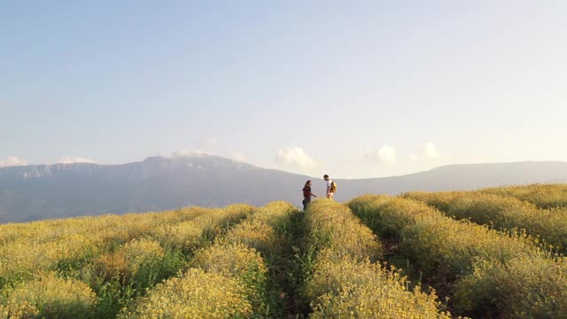 一对夫妇在鲜花草地上