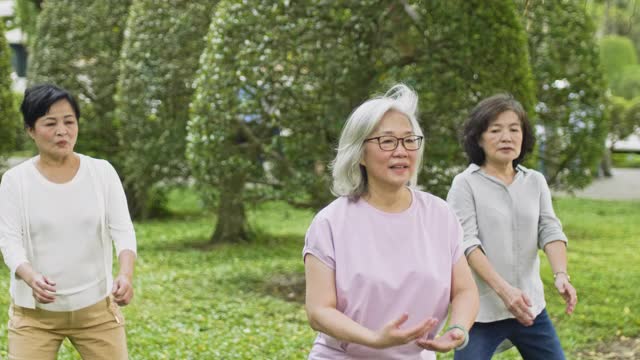 活跃的老年妇女在公园打太极