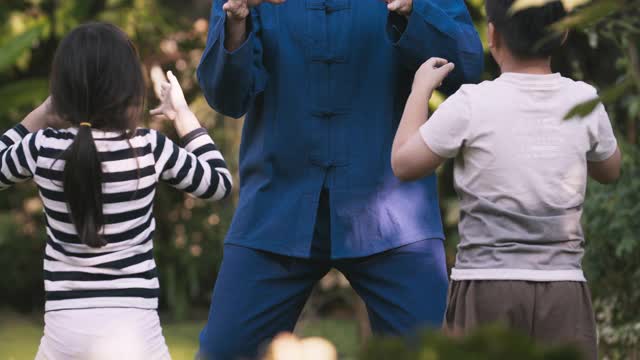 太极大师教孩子的倾斜镜头。