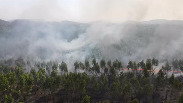 鸟瞰图泛森林大火(野火)燃烧、冒烟和造成空气污染