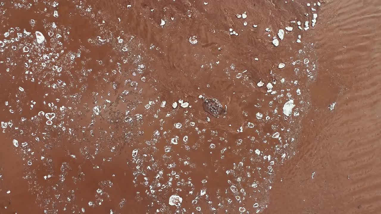 潮汐河上的浮冰