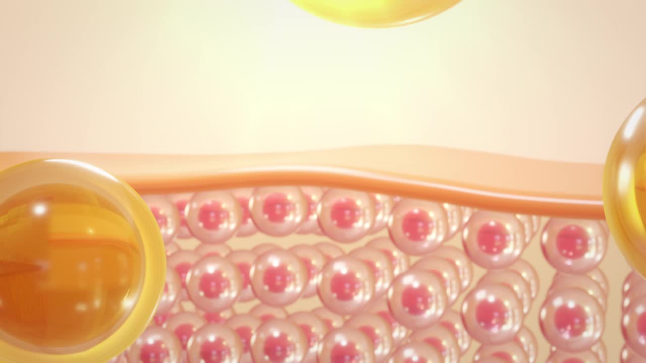 3d动画血清通过皮肤细胞修复皱纹。