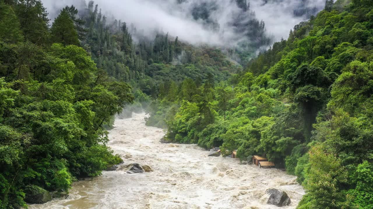 猛烈的洪水冲垮了森林，淹没了房屋