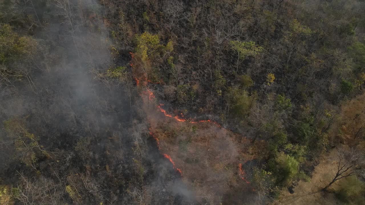4K森林大火(野火)燃烧、冒烟、造成空气污染