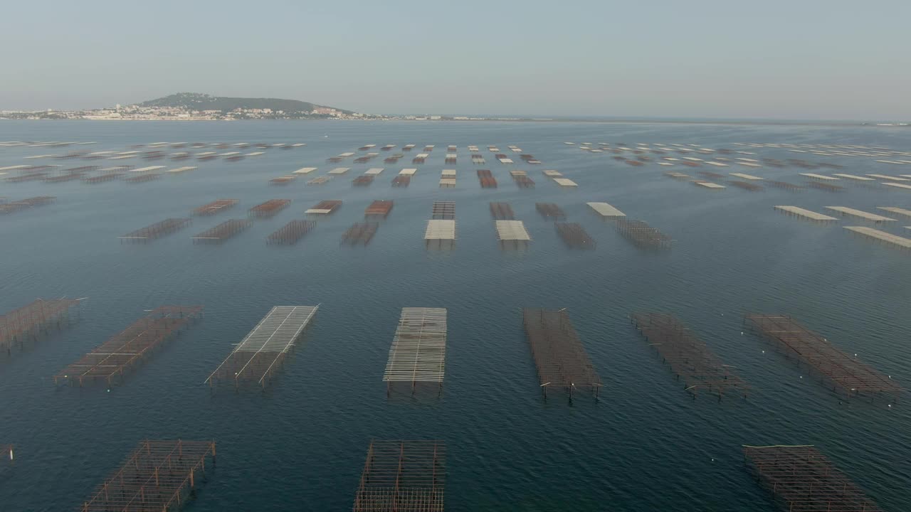 航拍伊唐德陶盐湖塞特市附近的牡蛎养殖场