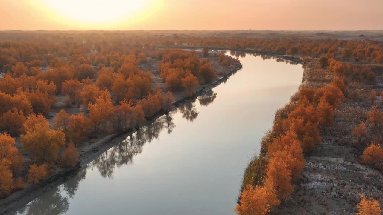 塔里木河流经塔克拉玛干沙漠，河两岸是胡杨林