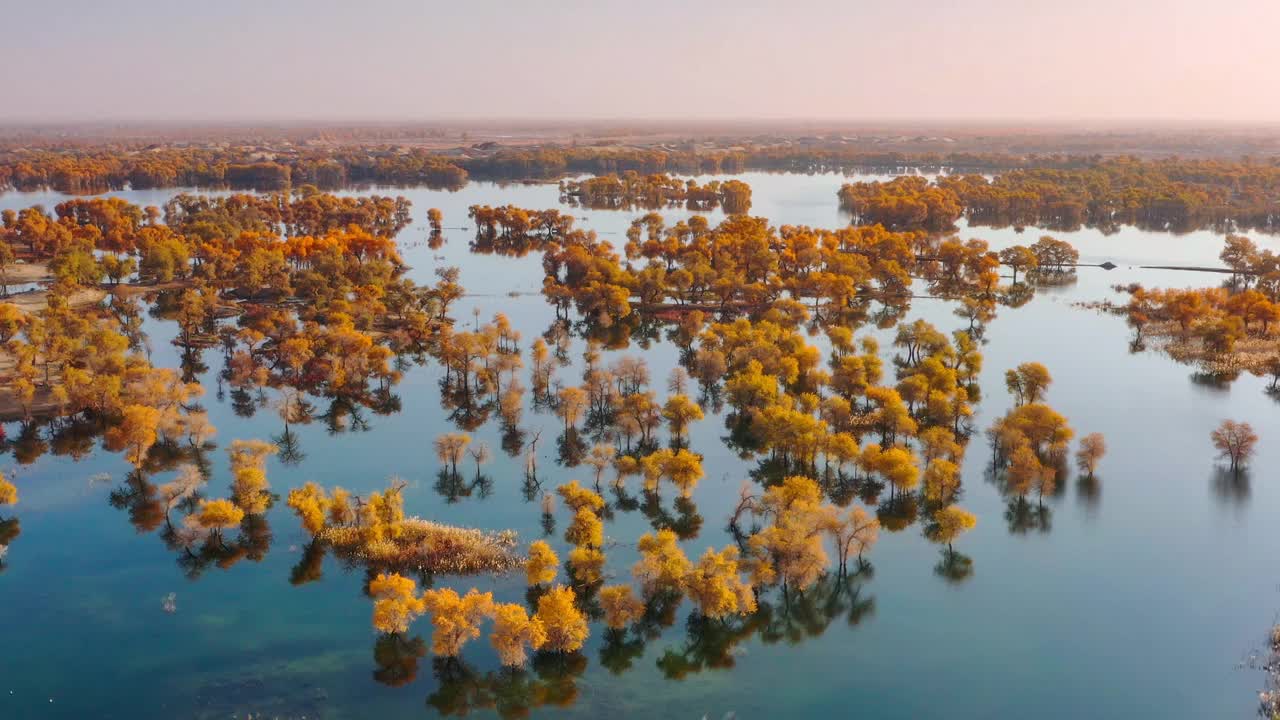 沙漠中隐藏着大片湿地，湿地上长满了胡杨林