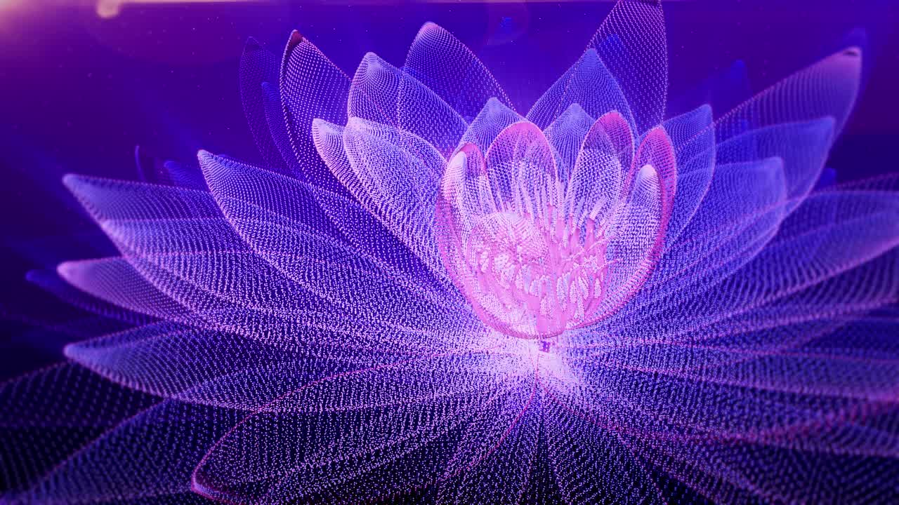 文摘Lotus背景