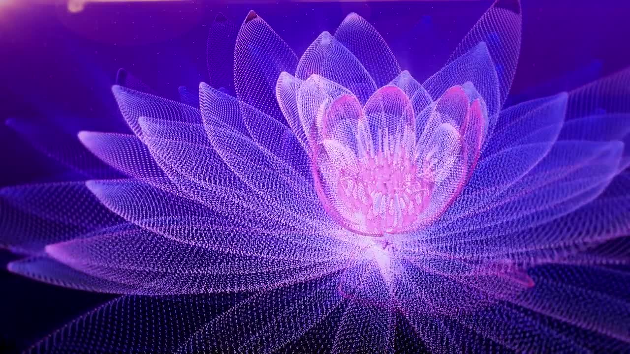 詳情圖-文摘Lotus背景