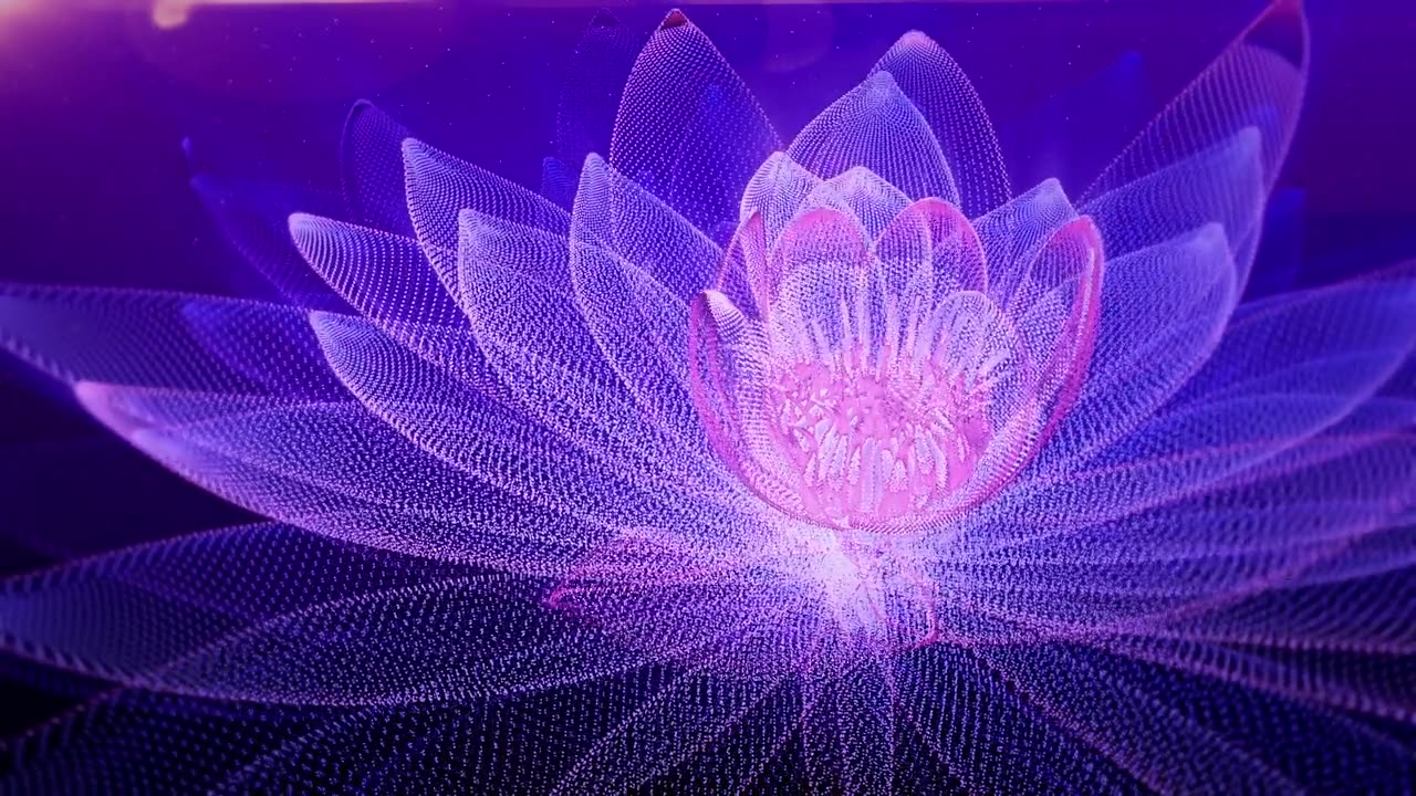 詳情圖-文摘Lotus背景