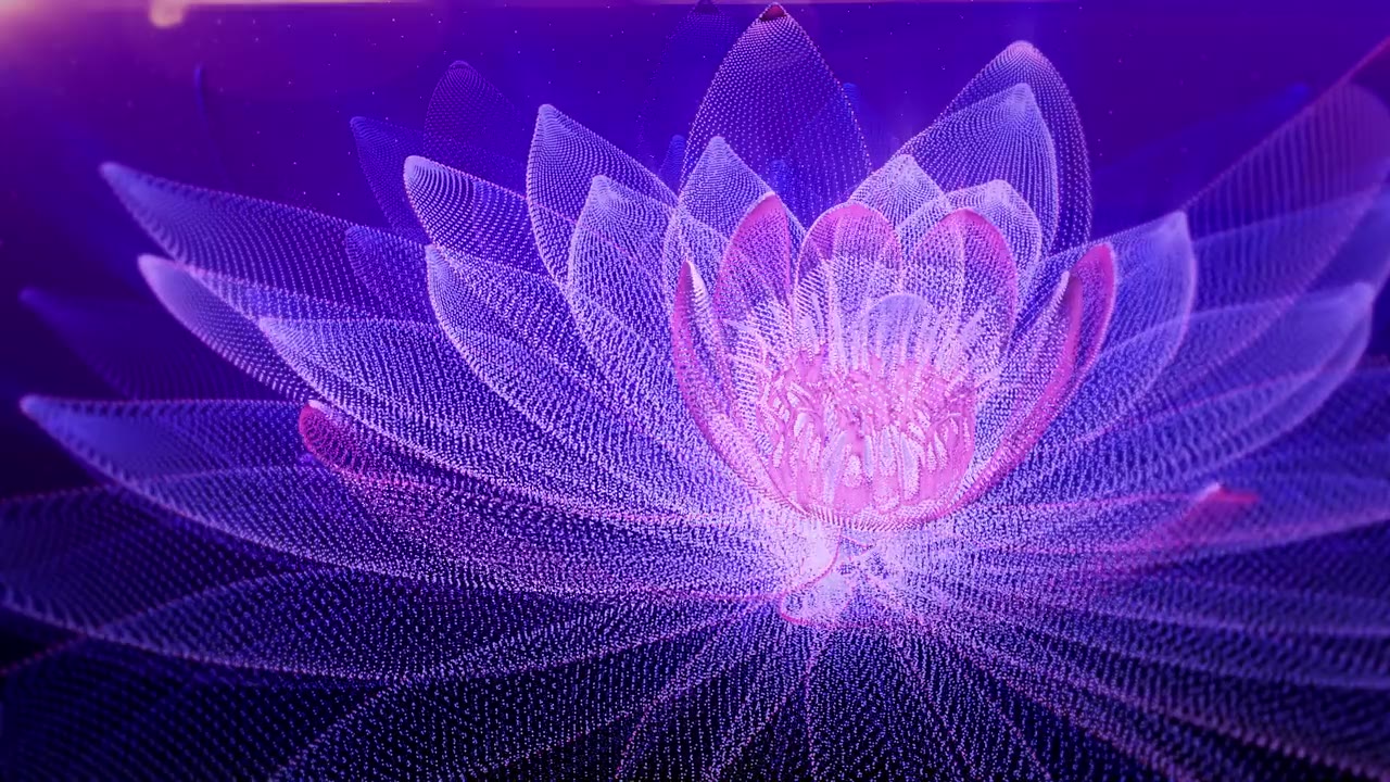 詳情圖-文摘Lotus背景