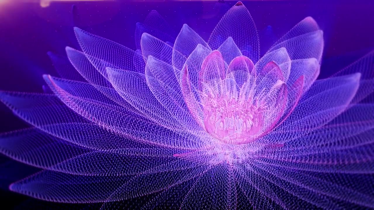 詳情圖-文摘Lotus背景