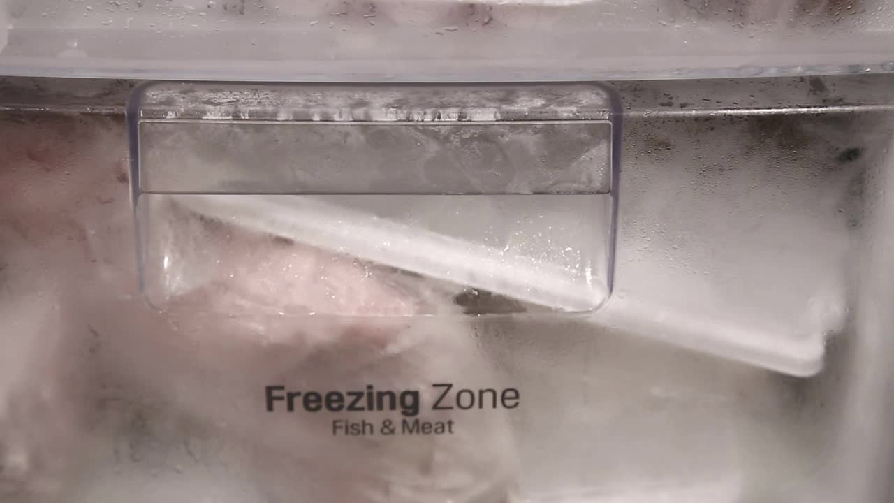 冰箱里的冻肉