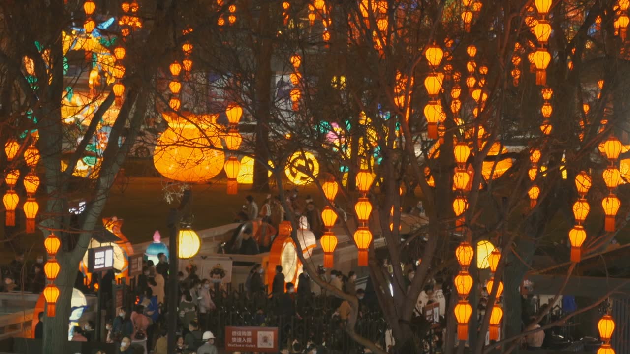 详情图-庆祝春节的灯笼，西安，陕西，中国