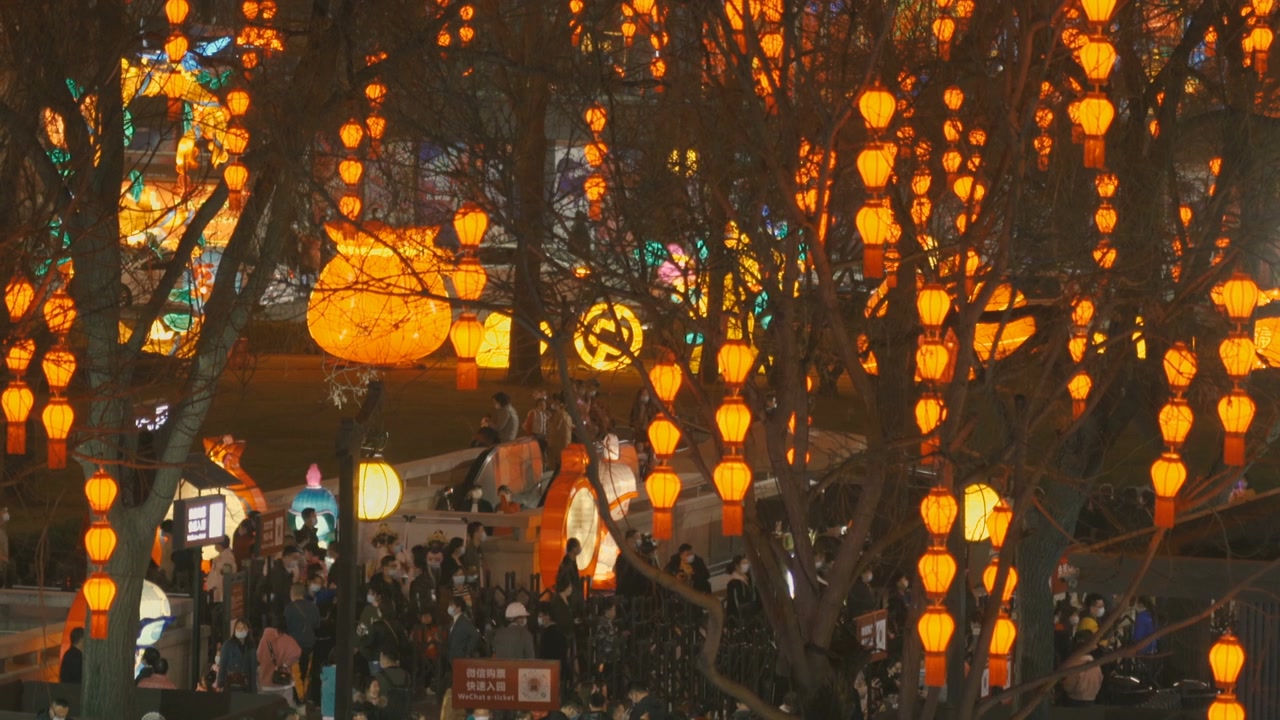 详情图-庆祝春节的灯笼，西安，陕西，中国