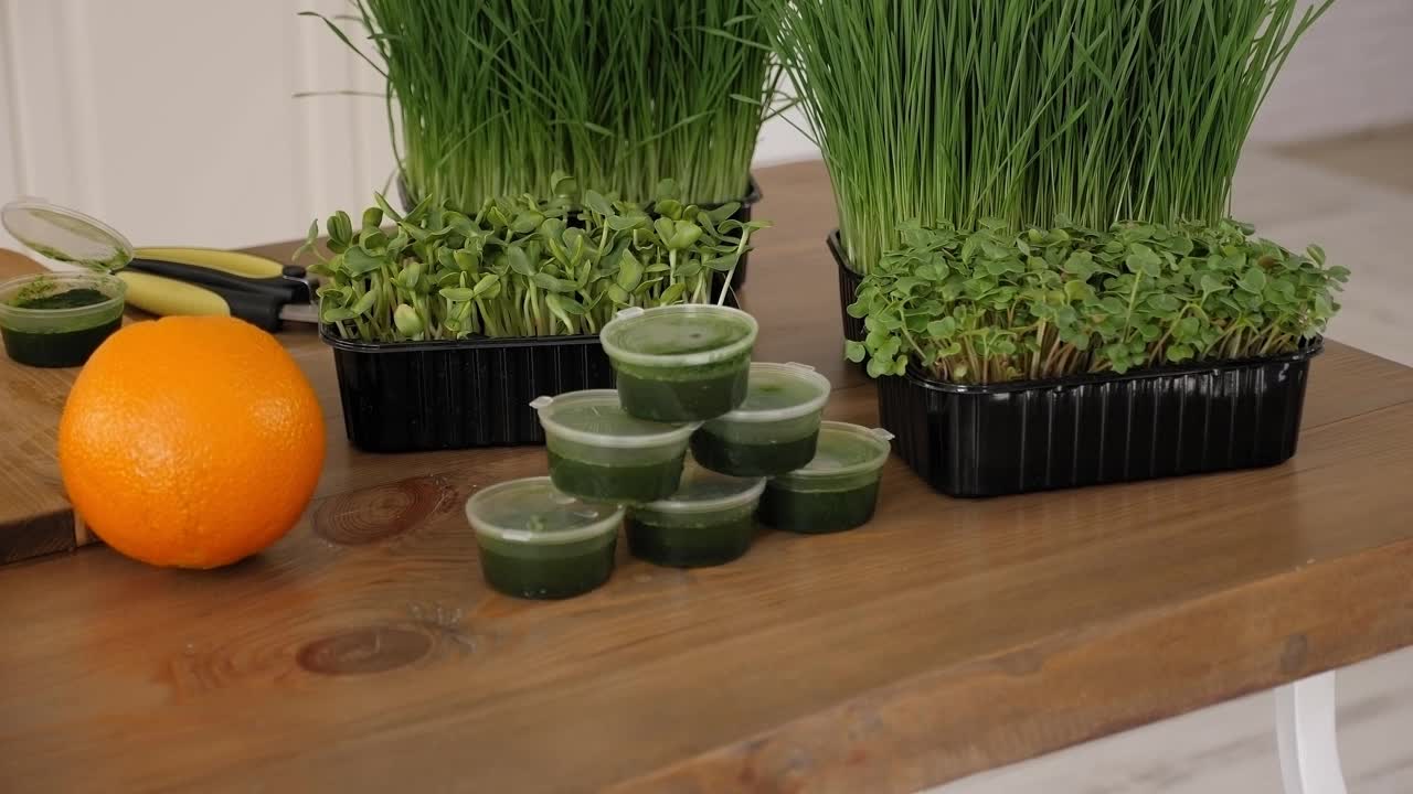 麦胚芽汁，健康饮食和排毒概念。