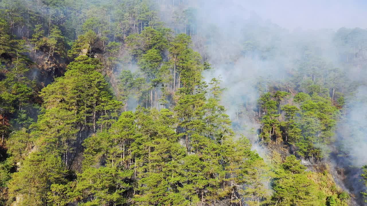 绿色山脚下的邦托克和萨加达的梯田