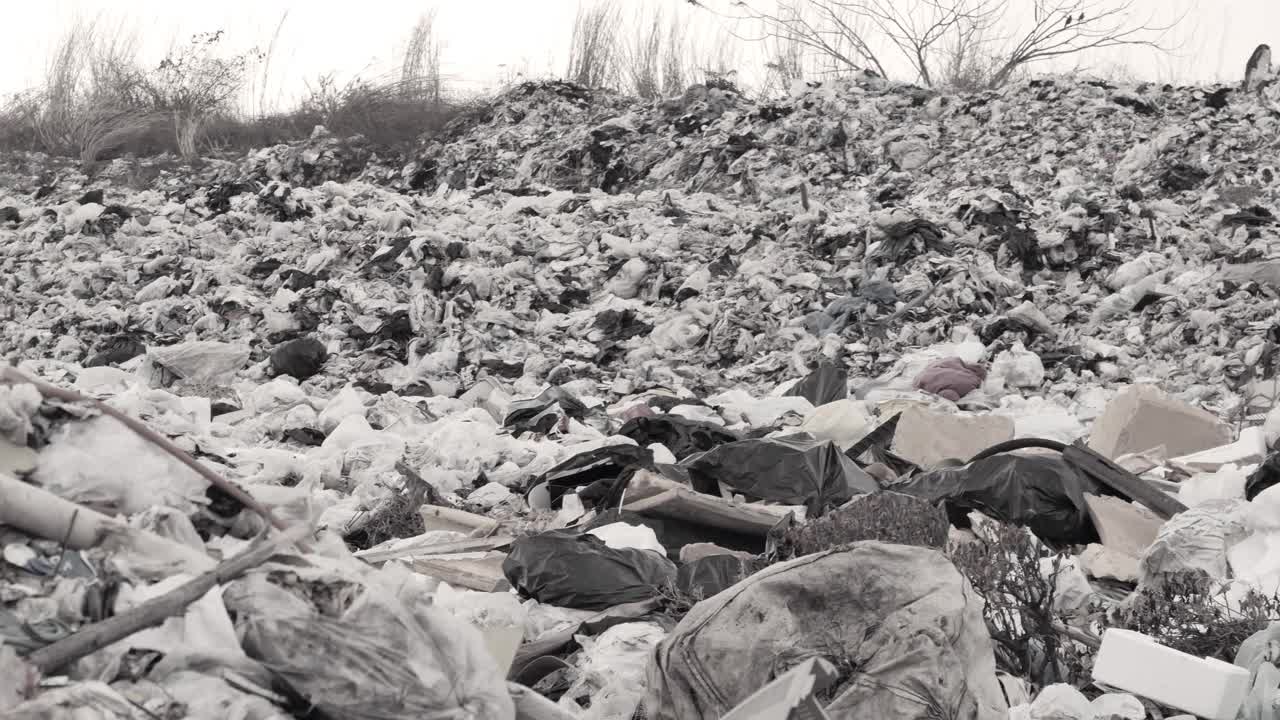 垃圾,垃圾堆