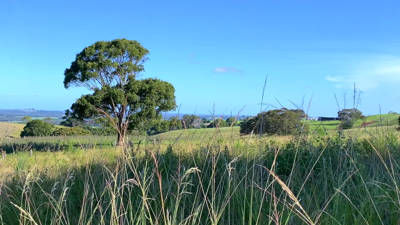 广阔的乡村景观澳大利亚