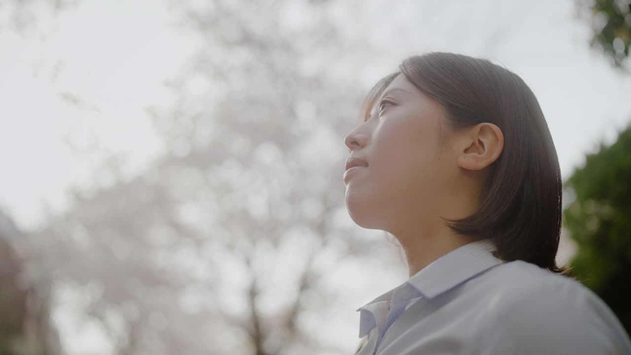 年轻的女商人在樱花树下的肖像