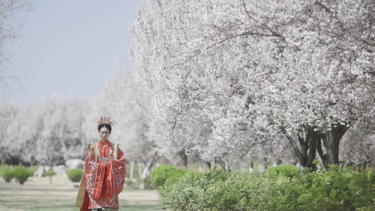 中国妇女穿着汉服，古代服装