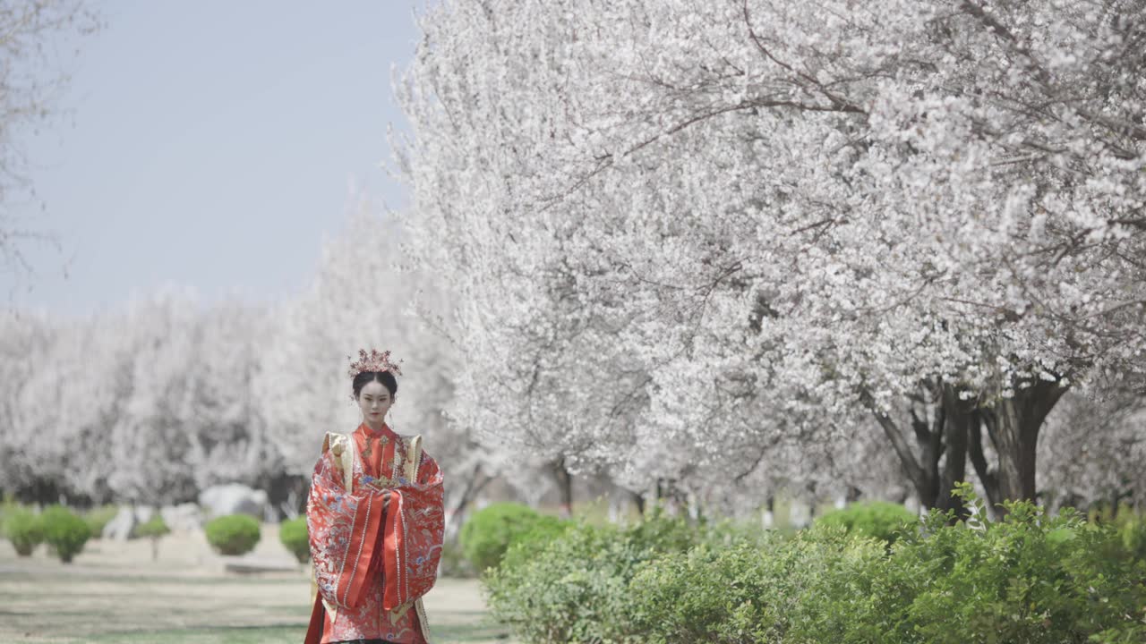 詳情圖-中國婦女穿著漢服，古代服裝