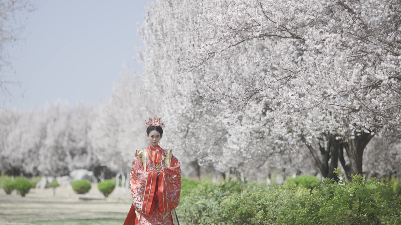詳情圖-中國婦女穿著漢服，古代服裝