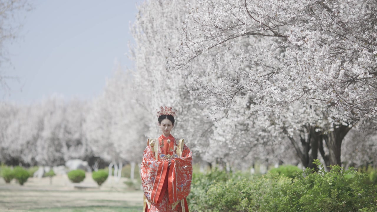 詳情圖-中國婦女穿著漢服，古代服裝