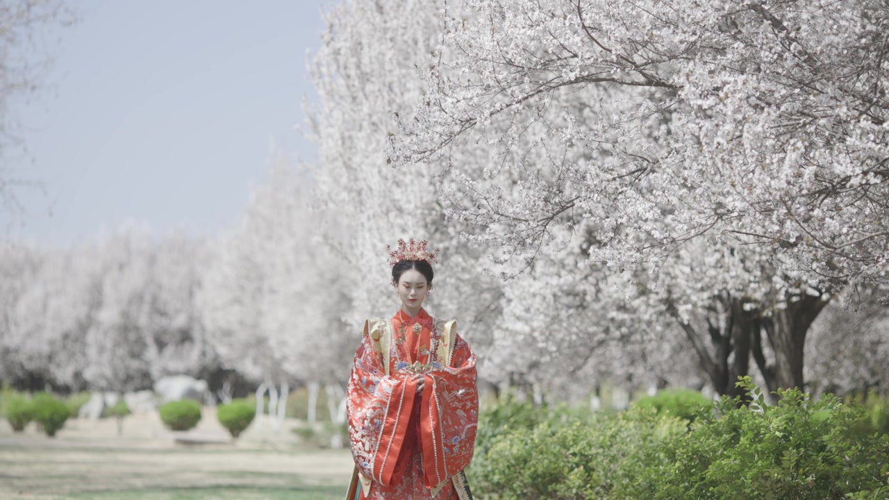 詳情圖-中國婦女穿著漢服，古代服裝