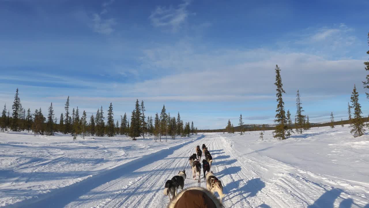 狗拉着雪橇穿过冬天的风景