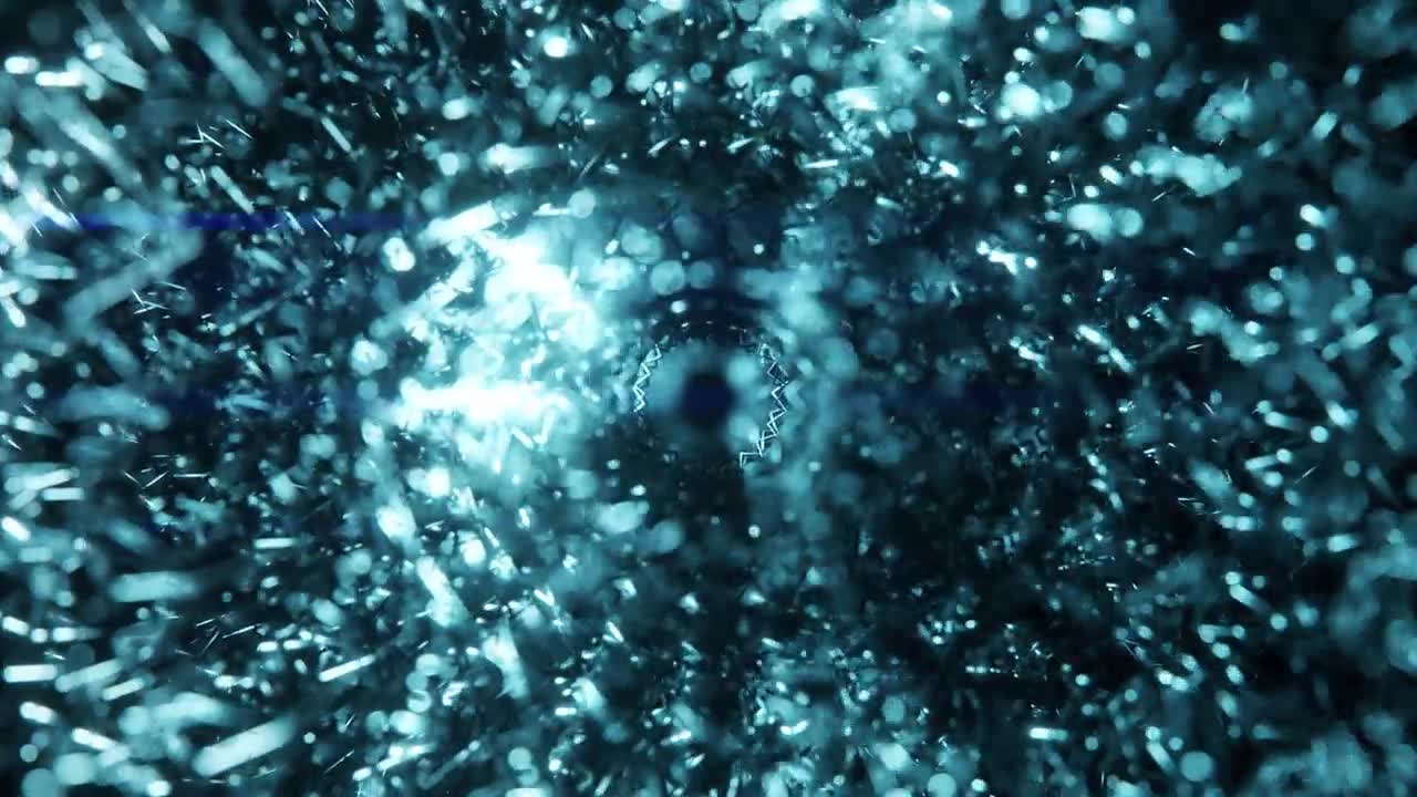 详情图-CERN过程内部视图