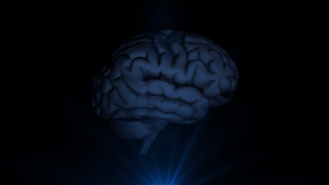 AI人工智能数字大脑动画。神经网络。大数据深度学习现代技术。大数据流分析。神经外科大脑扫描技术。思维过程