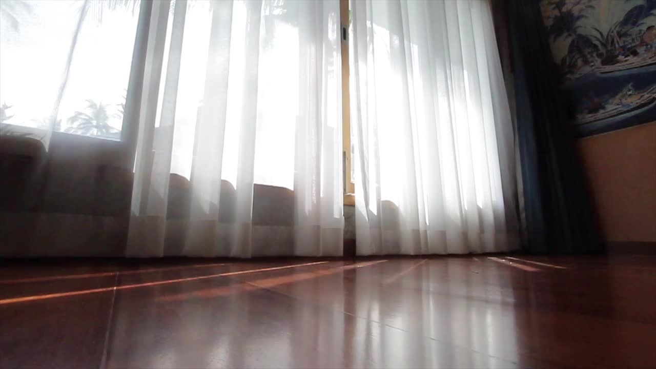 窗帘在风中飘动