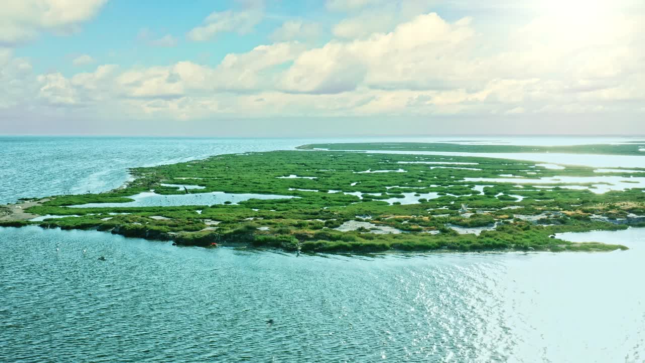湿地鸟瞰图