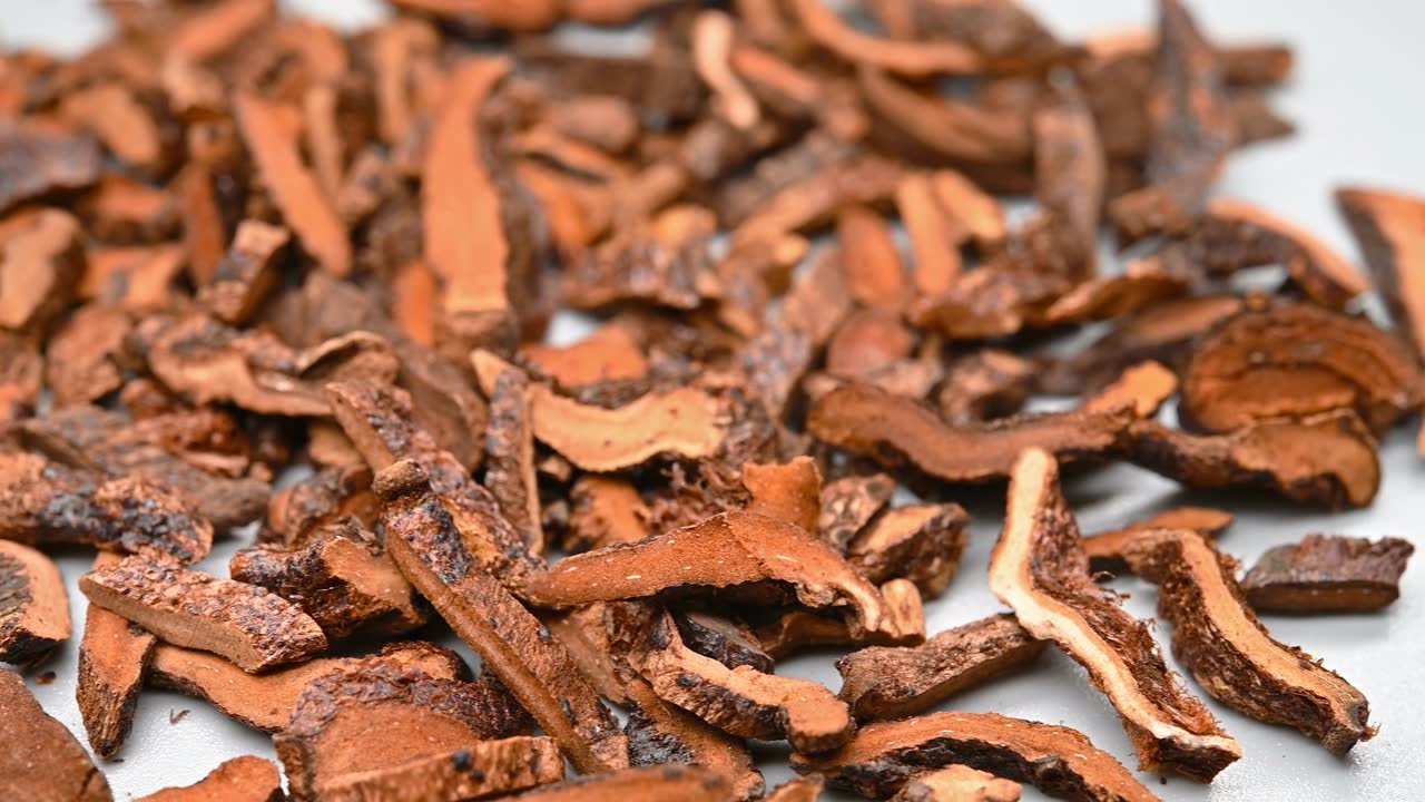 詳情圖-角鍋草或骨水布或金縷梅