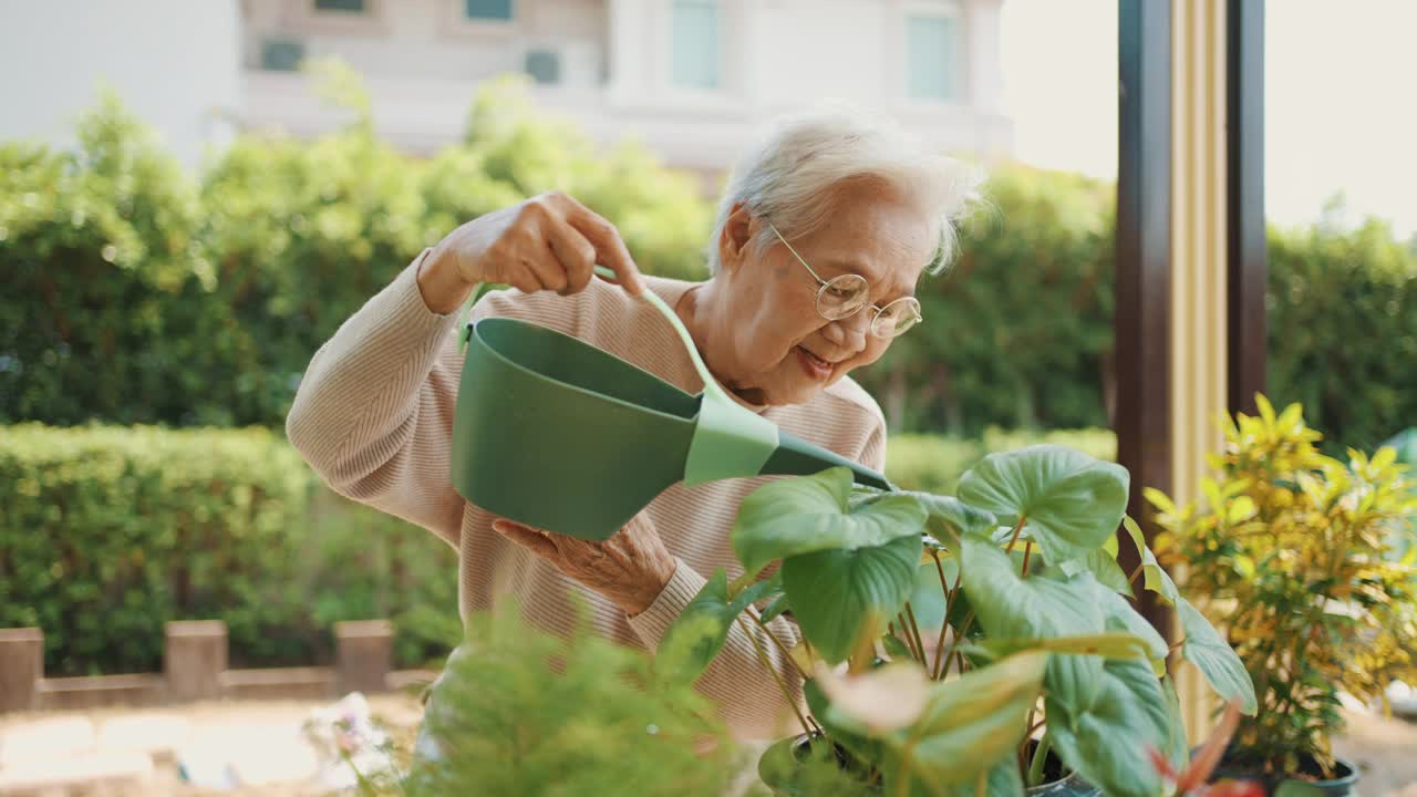 妇女在家给室外室内植物浇水