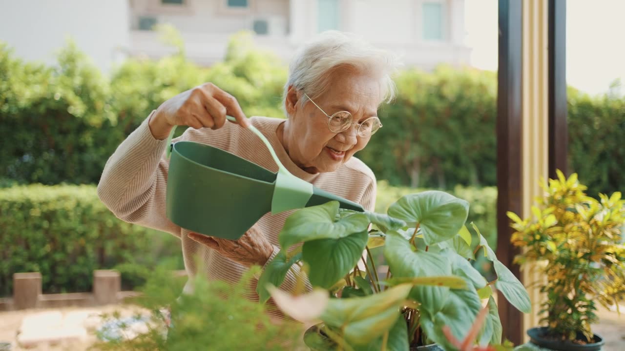 详情图-妇女在家给室外室内植物浇水