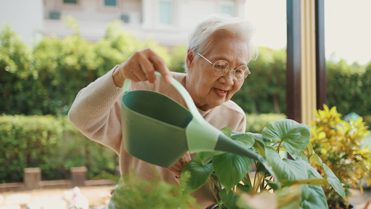 详情图-妇女在家给室外室内植物浇水