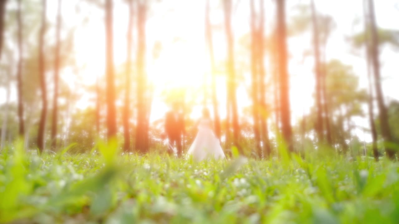 详情图-新郎新娘伴着夕阳在美丽的公园漫步
