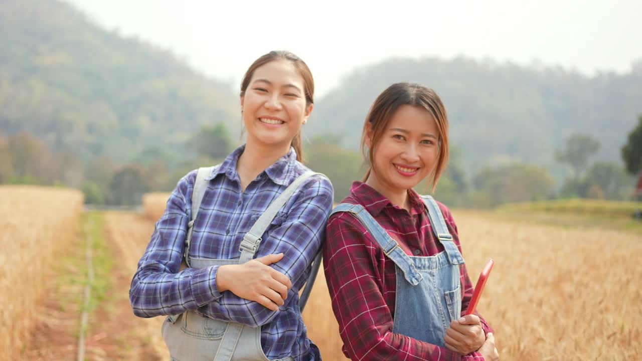 两个亚洲女农民一起在麦田里劳作的4K肖像