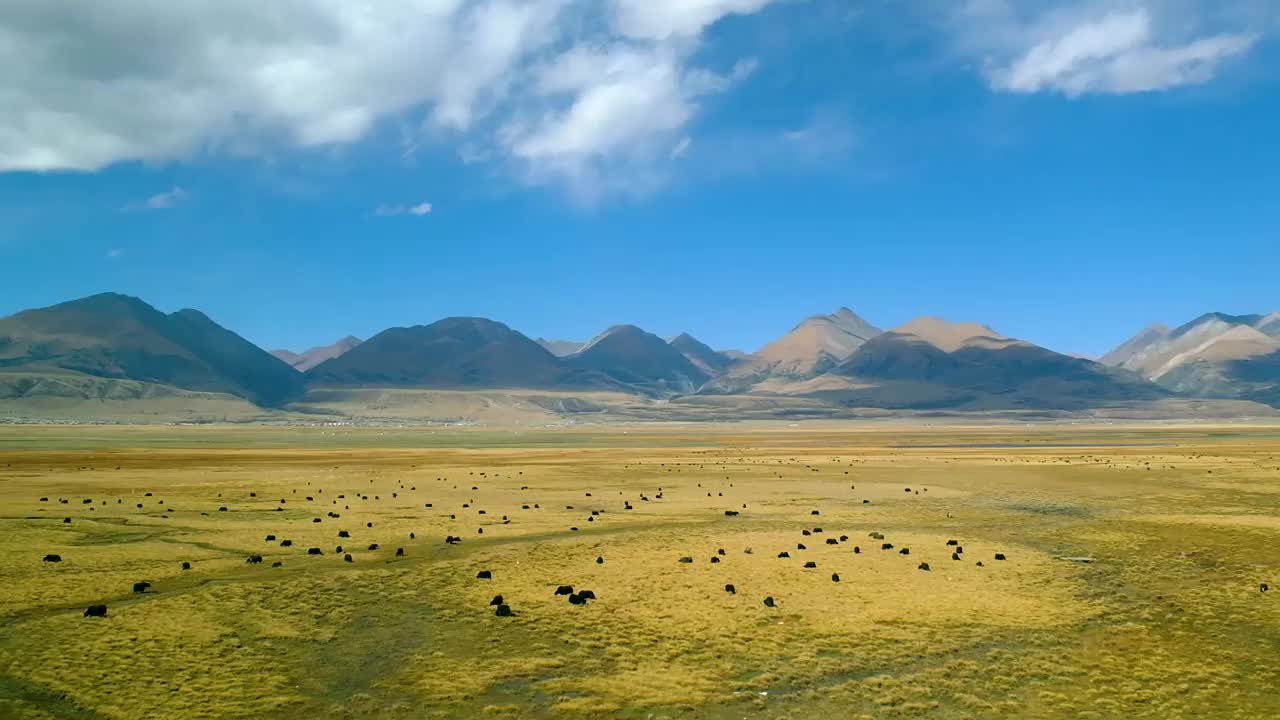 西藏念青唐拉山