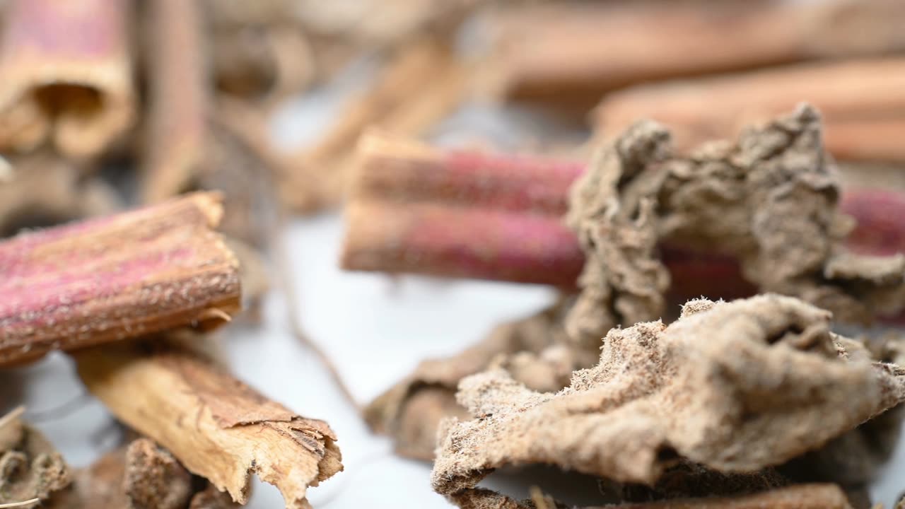 詳情圖-角觀草本植物沛草或黃芪或毛梗草