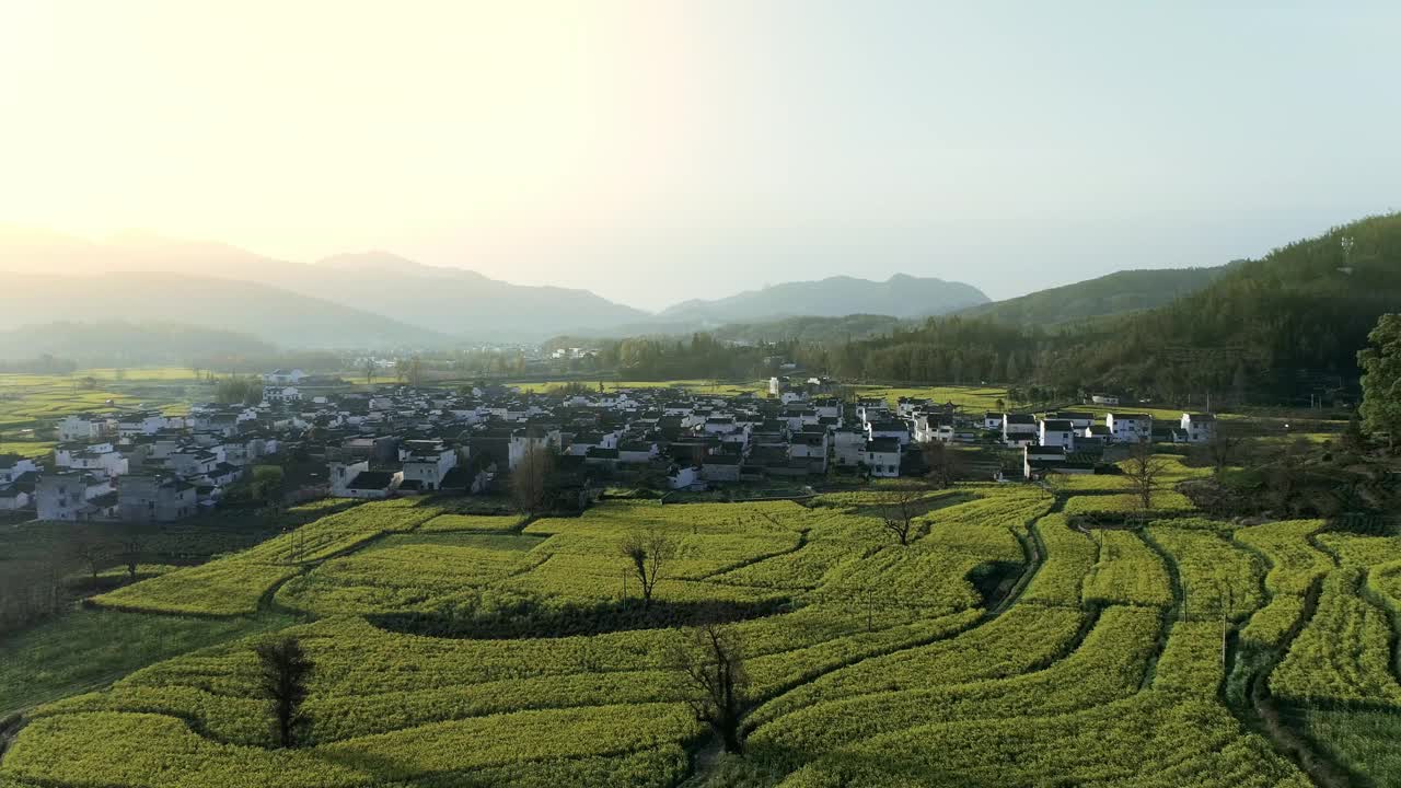 中国安徽鲁村的乡村景观