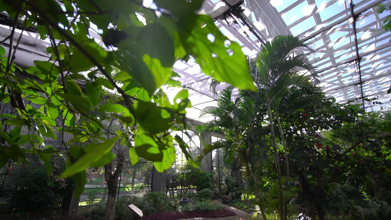 植物学温室