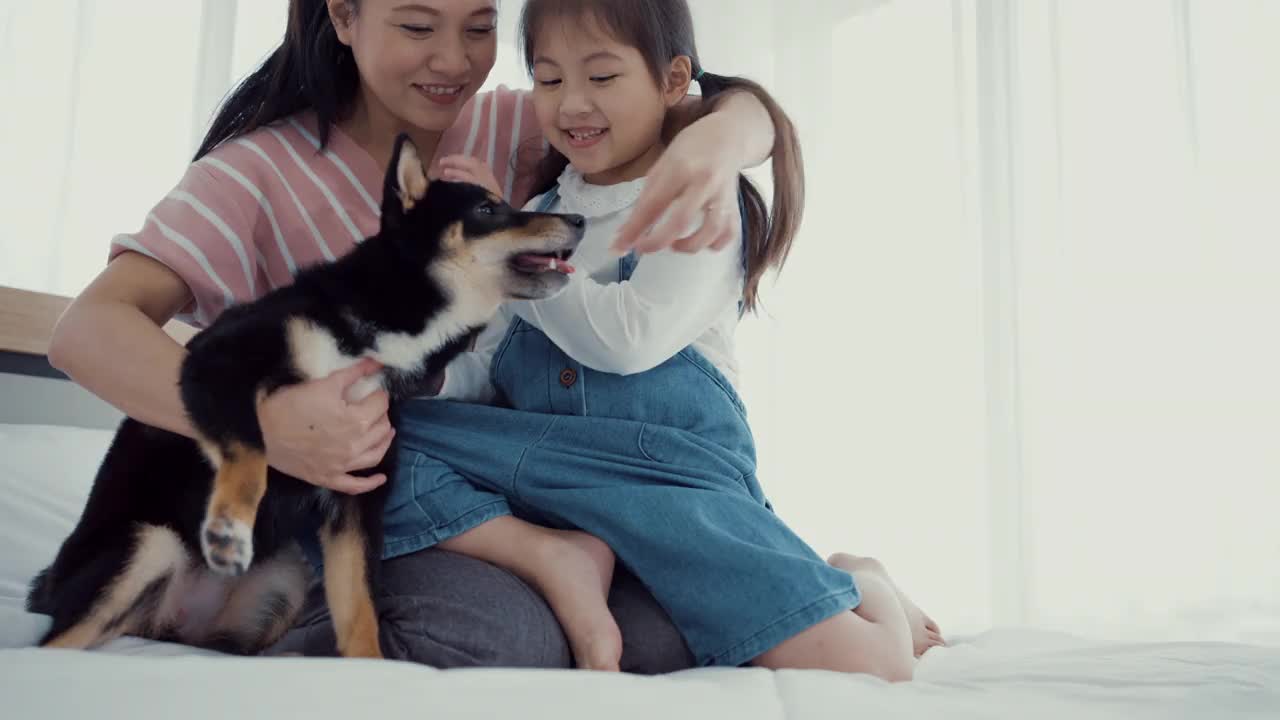 爱-家庭的情感与宠物的爱，狗的忠诚，慢动作。